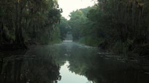 Uncertain — foto 2