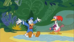 Bird Brained Donald — foto 1