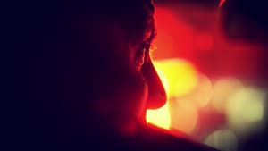Les yeux de la nuit — foto 1