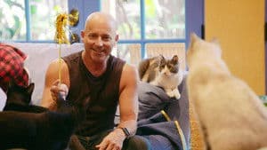 El apartamento de lujo, la casa de los gatos, el sueño de los fans del hockey