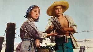 渡江侦察记 — foto 2