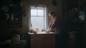 Сірі бджоли — foto 2