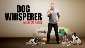 César Millan — foto 11