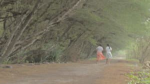 Sowan — foto 2
