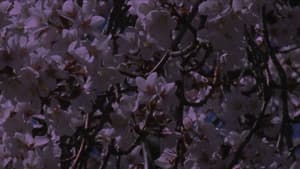 Spring Songs — foto 1