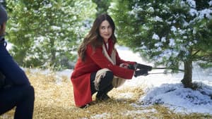 On the 12th Date of Christmas — foto 4
