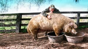 Mi gran pequeña granja: El regreso — foto 4