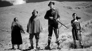 Non c'è pace tra gli ulivi — foto 1