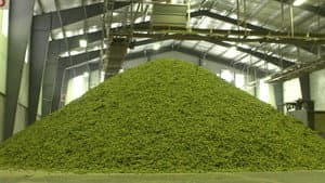 Hopped Up — foto 1