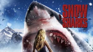 Avalanche Sharks — foto 3