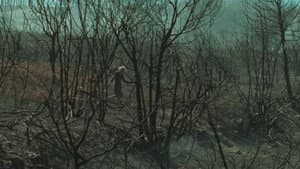 Lo que arde — foto 2