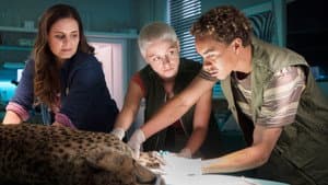 Episodio 7