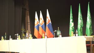 V hmle — foto 3