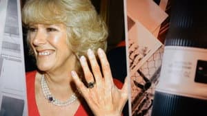 Queen Camilla: the Wicked Stepmother? — foto 2