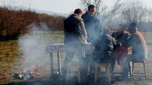 Meda sau partea nu prea fericită a lucrurilor — foto 2