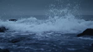 Sound of Waves — foto 1