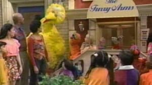 Sesame Street | All-Star 25th Birthday: Stars and Street Forever! — foto 1