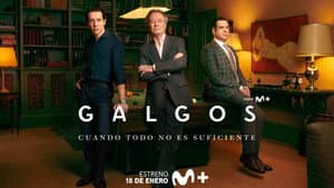 Galgos — foto 5