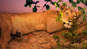 Uganda Salvaje (Wild Uganda) — foto 3