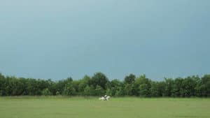 The Roper — foto 3