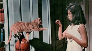Eye of the Cat — foto 2