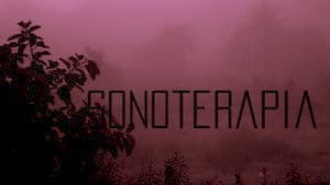Sonoterapia — foto 1