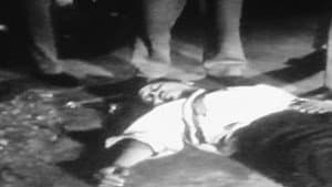 Roh Membela — foto 1