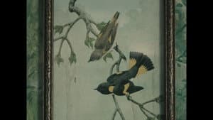 Pavilion — foto 1