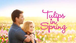 Tulipanes en primavera — foto 9