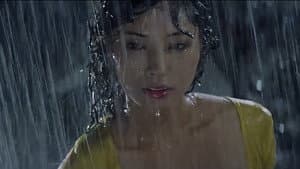 赤い通り雨 — foto 2