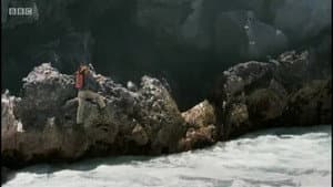 Iguanas Marinas
