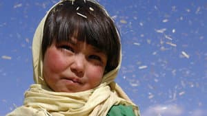 بودا از شرم فرو ریخت — foto 1
