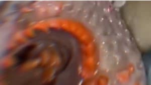 Our Memories Together Won't Rot in the Bag — foto 3
