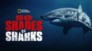 50 Shades of Sharks — foto 8