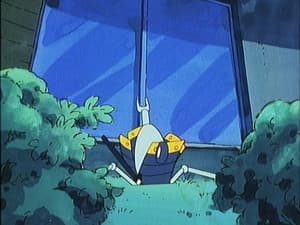 Episodio 256