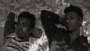 Faya Dayi — foto 8