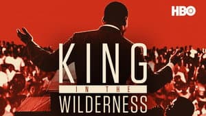 La Lucha Pacífica De Martin Luther King — foto 8