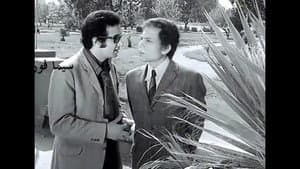 شيء من الحب — foto 1