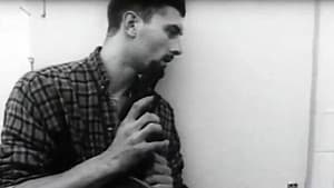 Mondo Bobo — foto 1