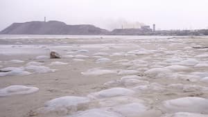 Територія пустих вікон — foto 1