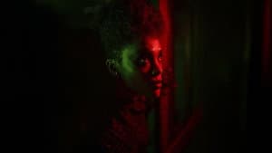 Aruana — foto 1