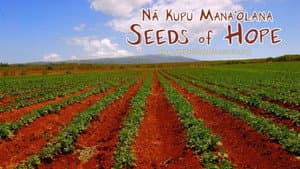Na Kupu Mana'olana — foto 1