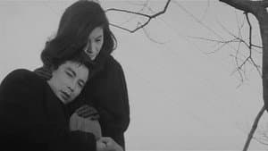 휴일 — foto 1