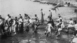 Levée de filets de pêche — foto 1