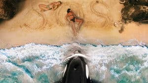Ballena Asesina — foto 2