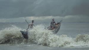 নোনাজলের কাব্য — foto 5