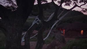 태 — foto 2