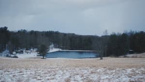 Send Nudes — foto 3