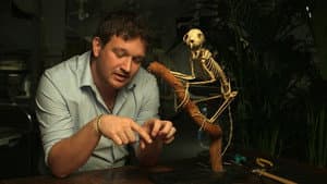 Episodio 5
