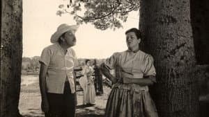 Casinha Pequenina — foto 1